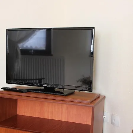 Strofi Ninas Arnea